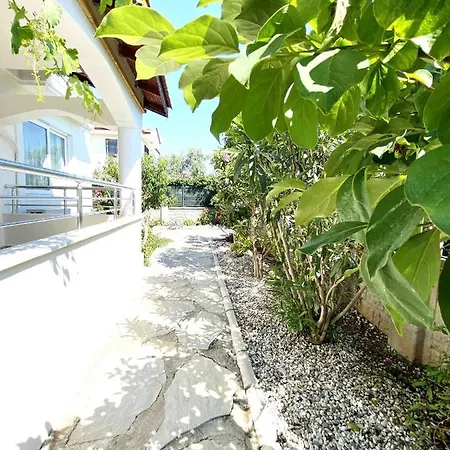 Ceren Villa *
