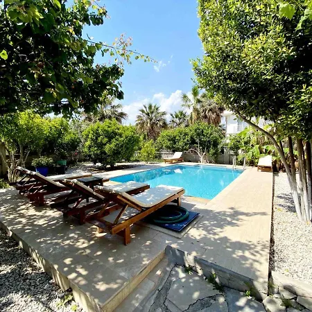 Ceren Villa *
