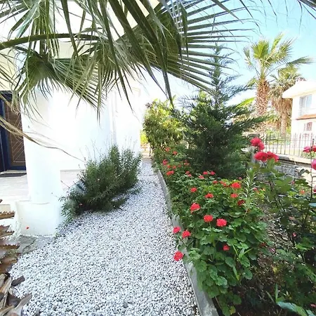 Ceren Villa *
